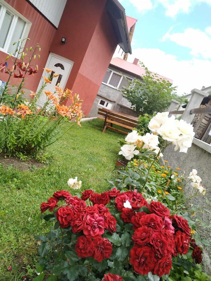 Apartments Bozovic Žabljak Exterior foto